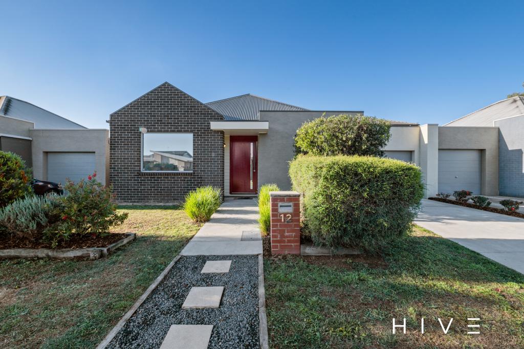 12 RIDDING ST, FORDE, ACT 2914