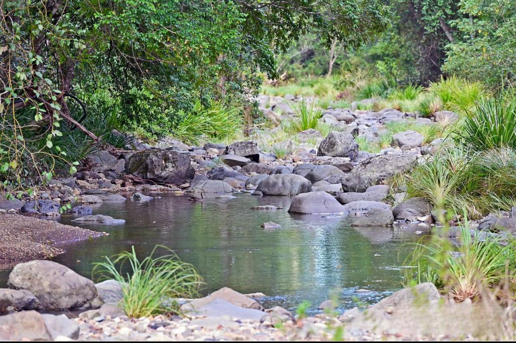 366 MULLIGANS LANE, KUNDIBAKH, NSW 2429