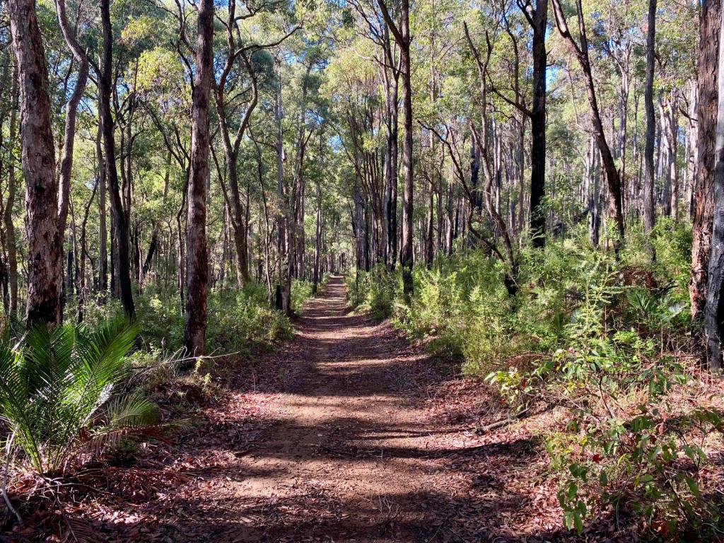 Lot 22 Oro Rd, Dwellingup, WA 6213