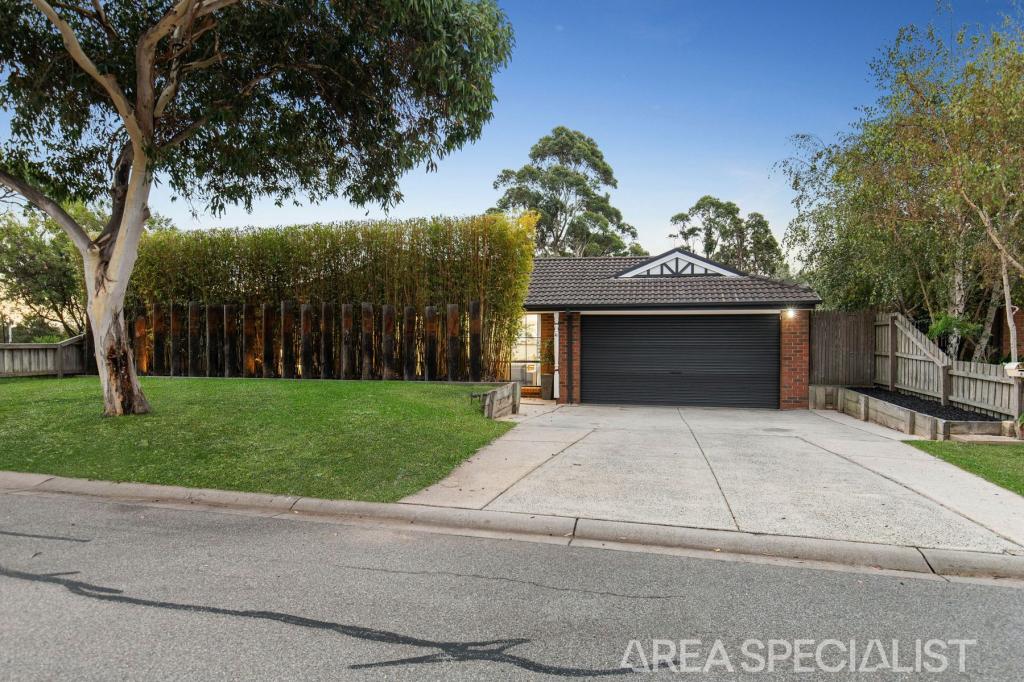 41 Tisdall Dr, Langwarrin, VIC 3910