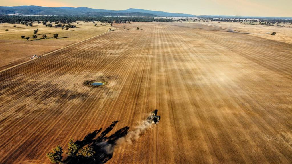 1745 Bimbi Caragabal Rd, Bimbi, NSW 2810