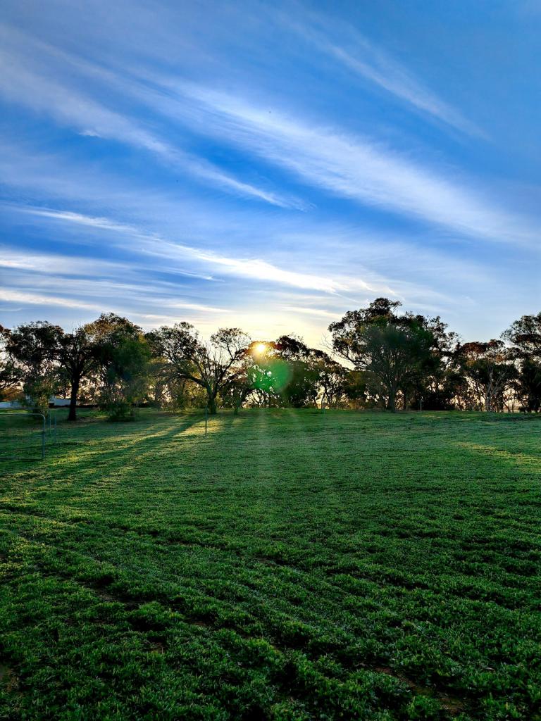 650 Dry Well Rd, Corrigin, WA 6375