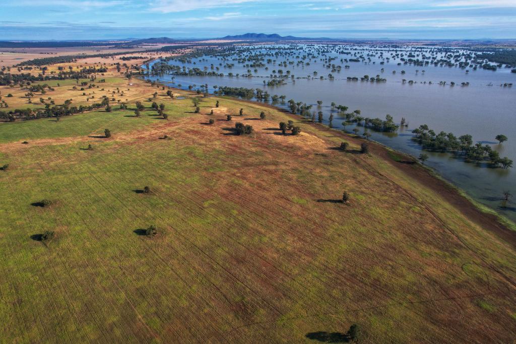 1872 Lake Cowal Rd, Burcher, NSW 2671