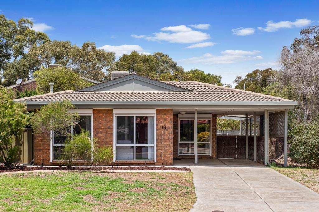 19 Cohen Ct, Clovelly Park, SA 5042