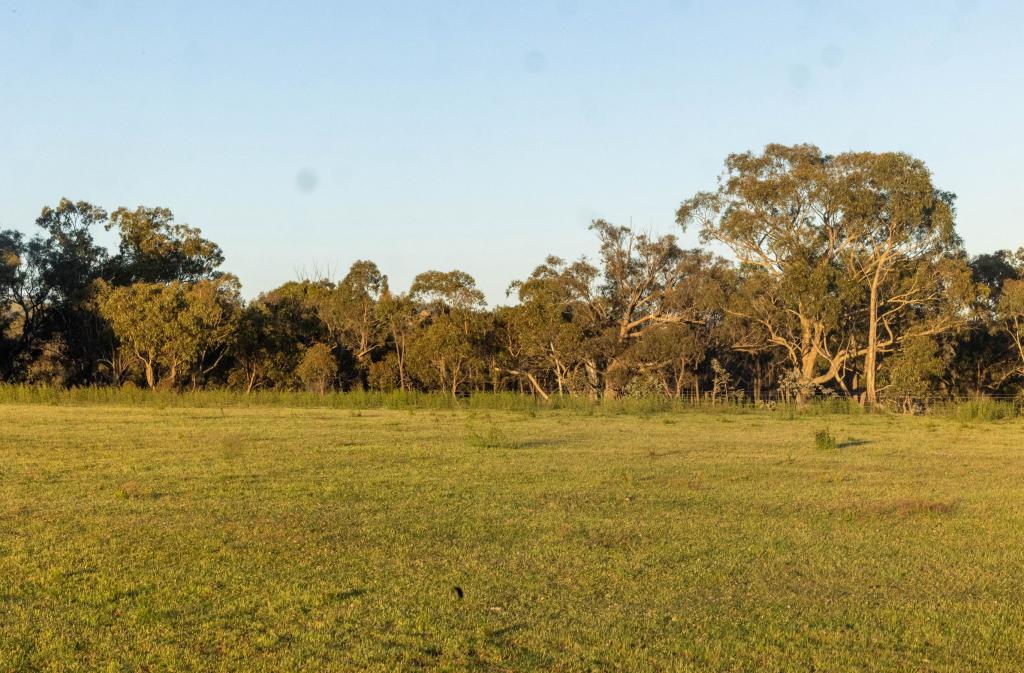 204 Goolabri Dr, Sutton, NSW 2620