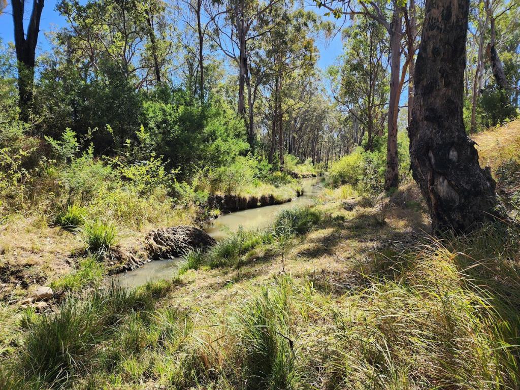 Lot 1 Garvey Rd, Ravensbourne, QLD 4352