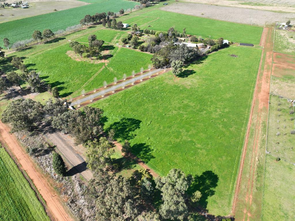 'Willow Tree' 14l Dulcidene Rd, Terramungamine, NSW 2830