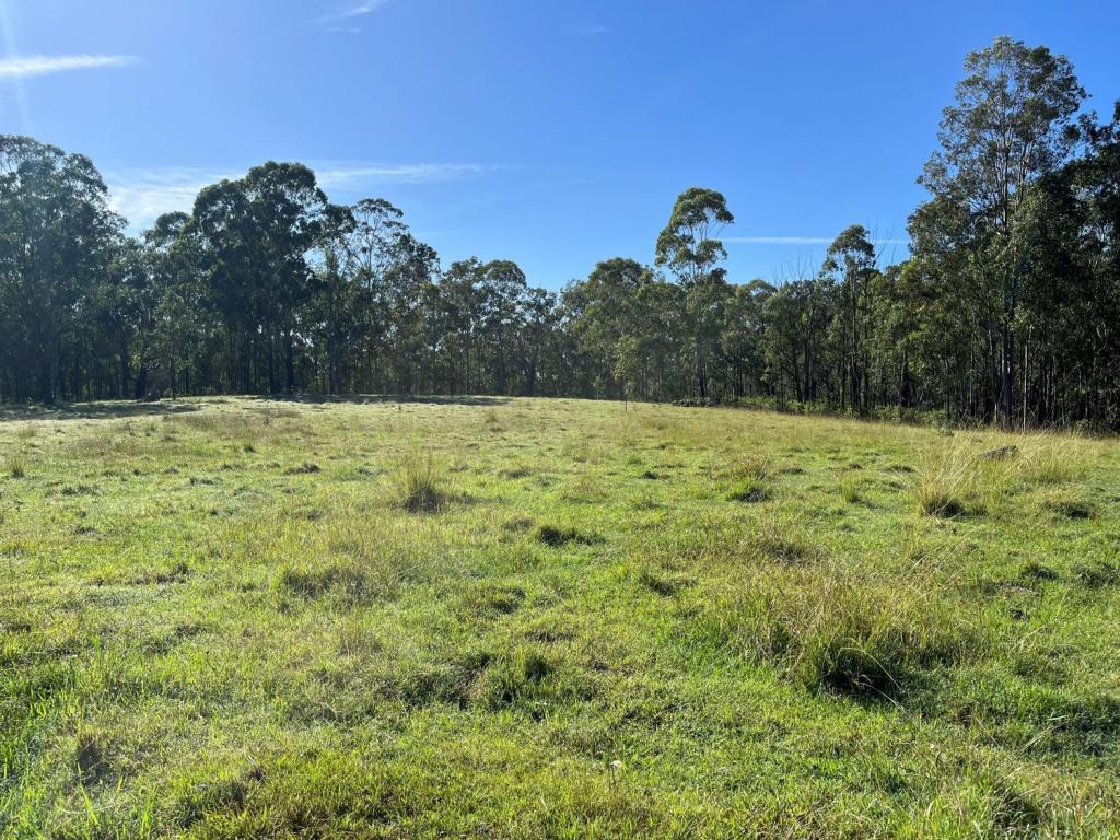 Lot 14 Old Dyraaba Rd, Lower Dyraaba, NSW 2470