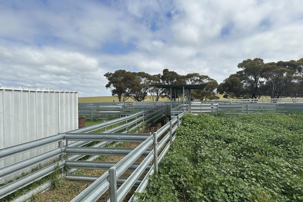 Mclaren Rd, Nyabing, WA 6341