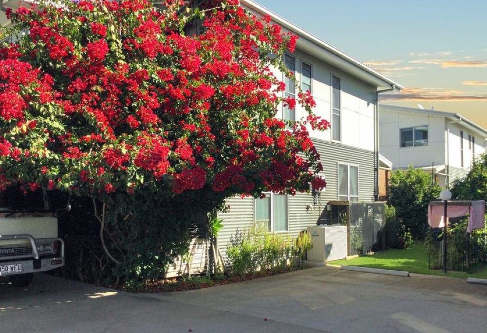 4/37-39 Daisy St, Miles, QLD 4415