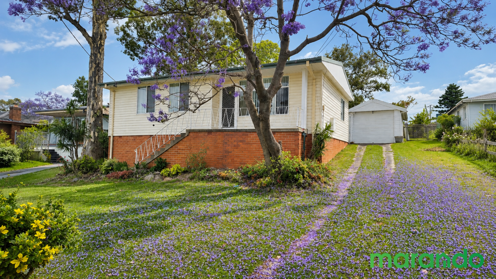 14 Devon Pl, Busby, NSW 2168