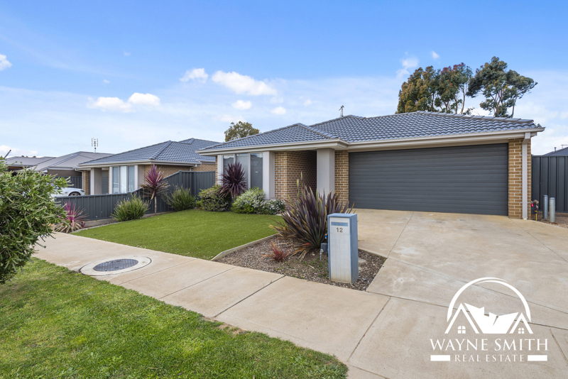 12 Hanlon St, Kilmore, VIC 3764