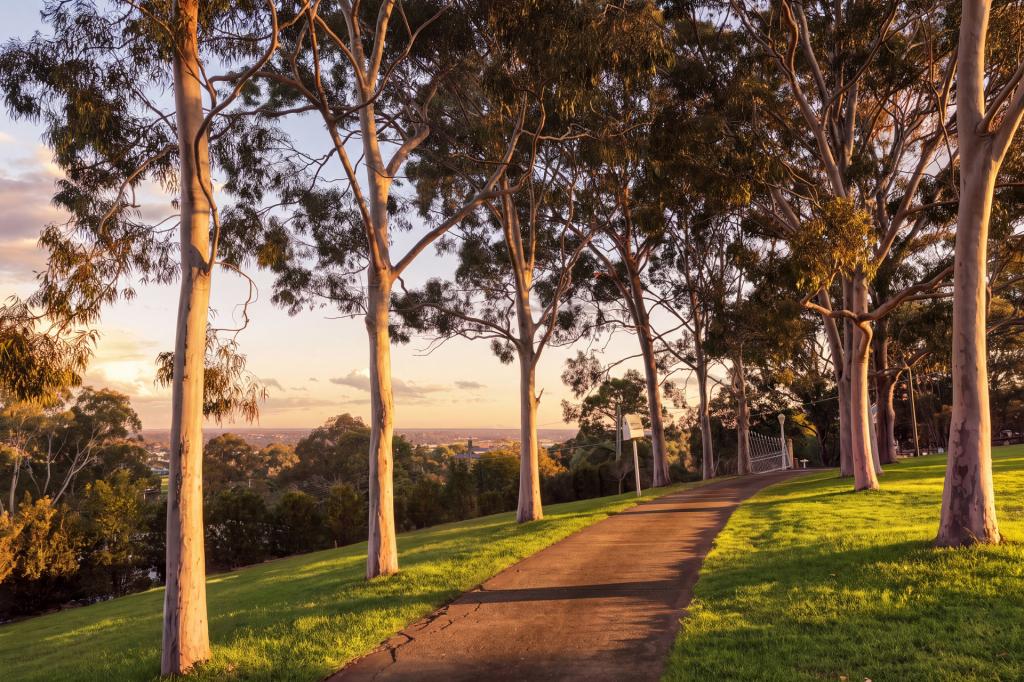 5 Blomfield Rd, Denham Court, NSW 2565