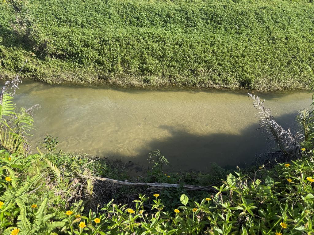 Contact Agent For Address, Midgenoo, QLD 4854