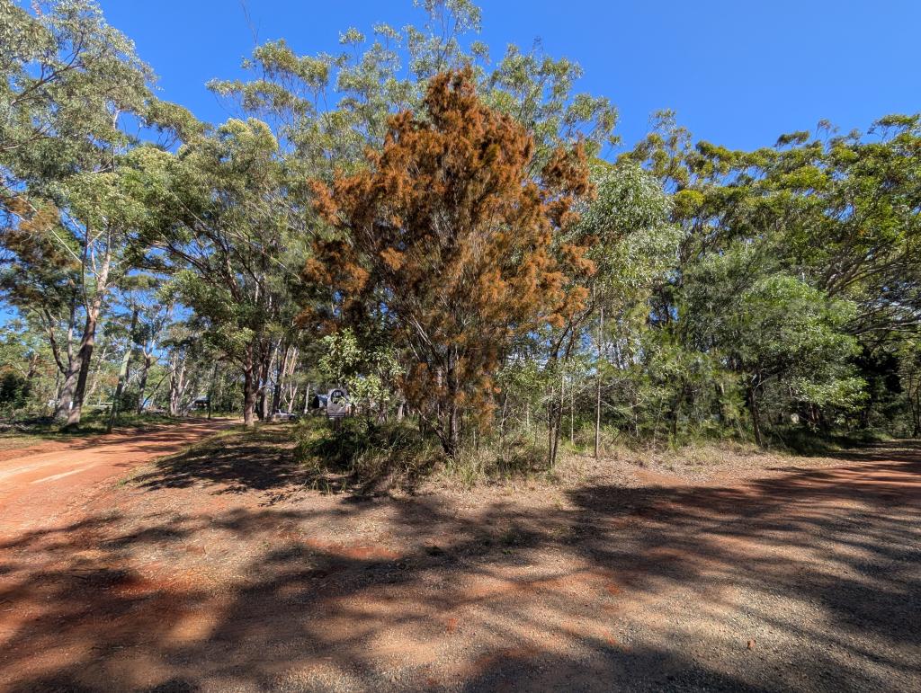 30 Cypress Ave, Russell Island, QLD 4184