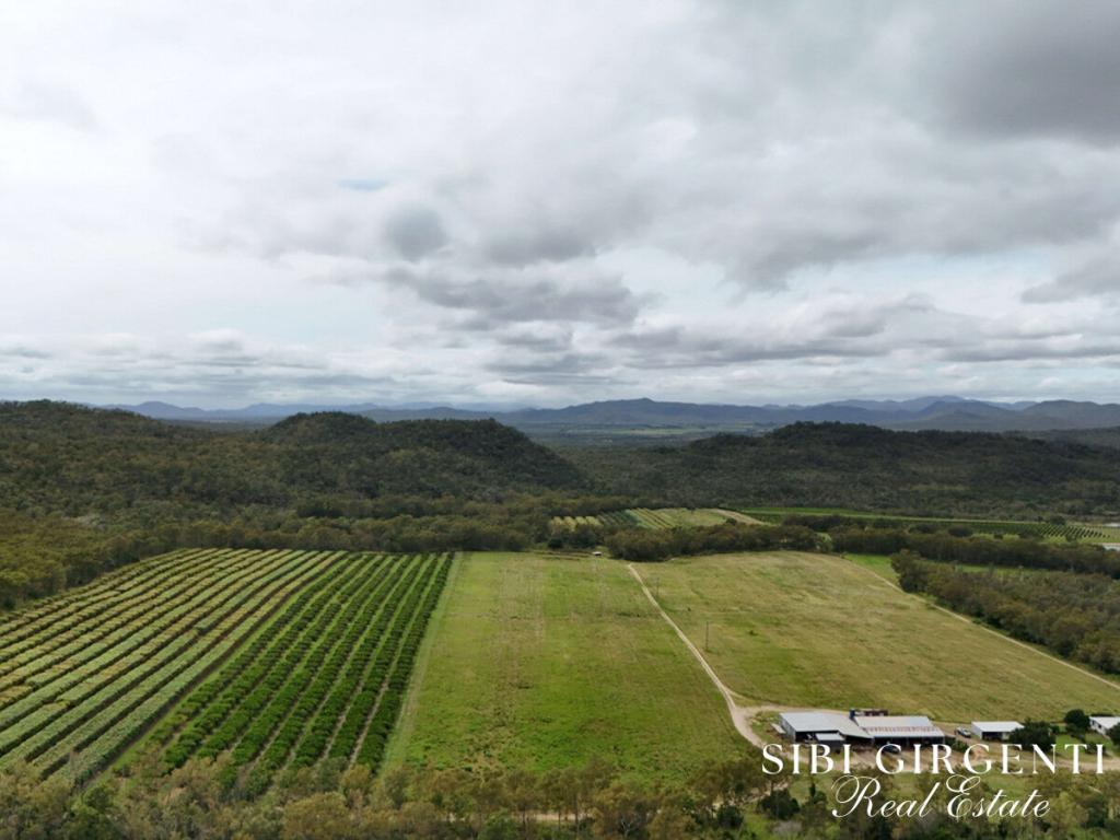 78 Fabris Rd, Dimbulah, QLD 4872