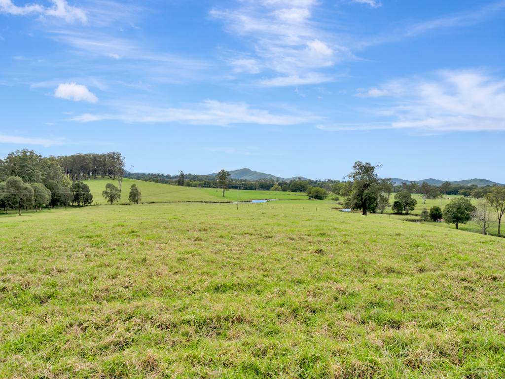 2 Pawseys Rd, South Arm, NSW 2449