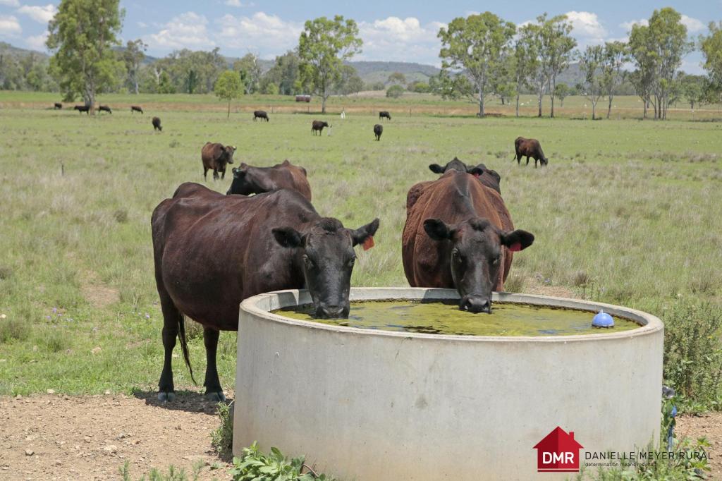 1407 Coppin Rd, Mungungo, QLD 4630