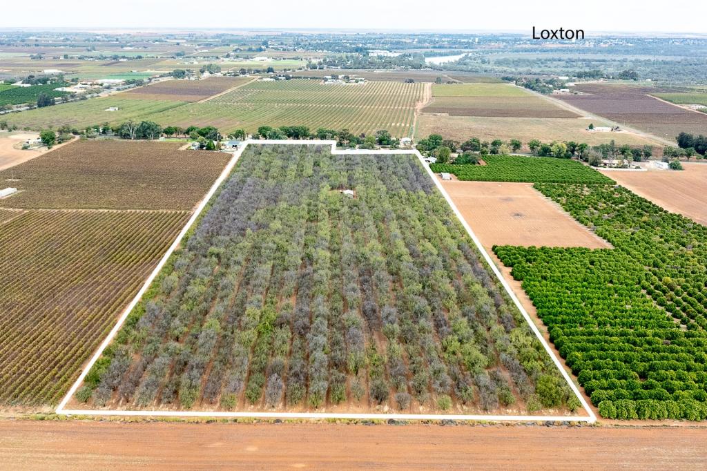 Lot 1 Briers Rd, Loxton North, SA 5333