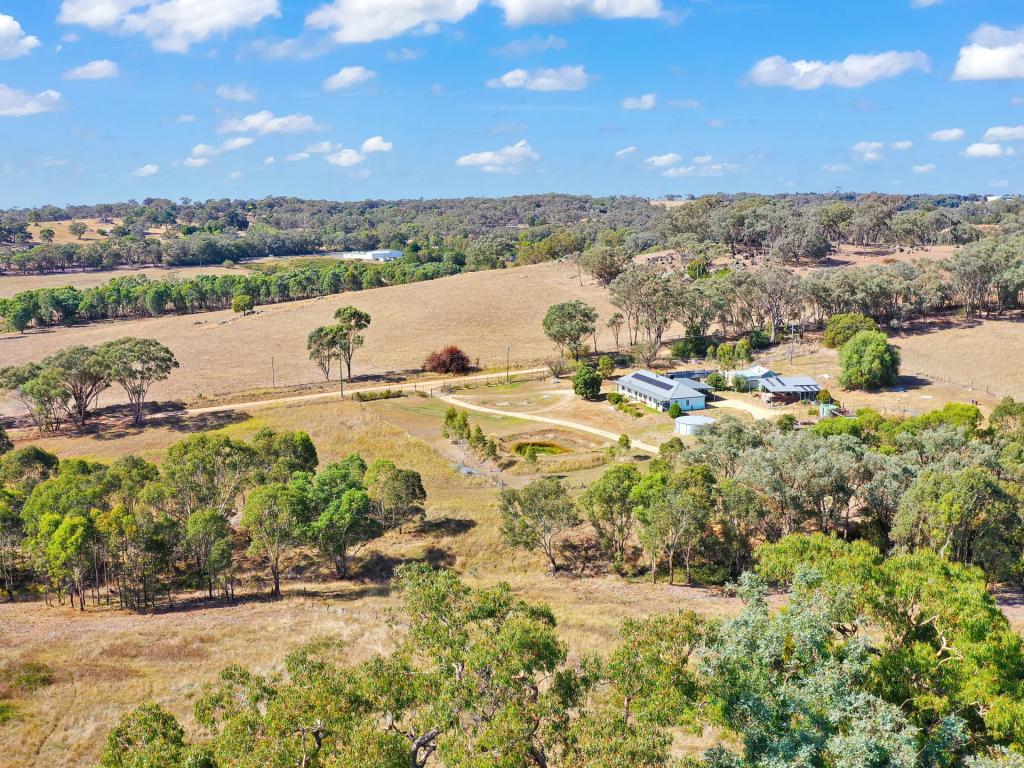 100 Hollands Rd, Young, NSW 2594