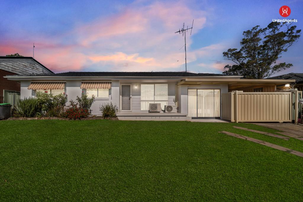 4 UNDERWOOD ST, MINTO, NSW 2566