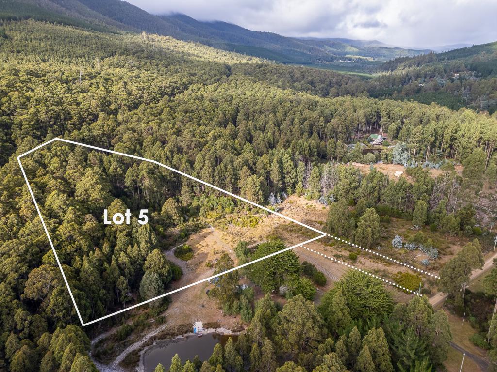 Lot 5 Gordon River Rd, Tyenna, TAS 7140