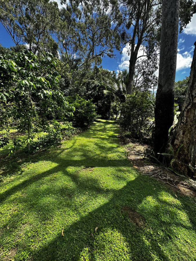 36 Prince Charles Ave, Seaforth, QLD 4741