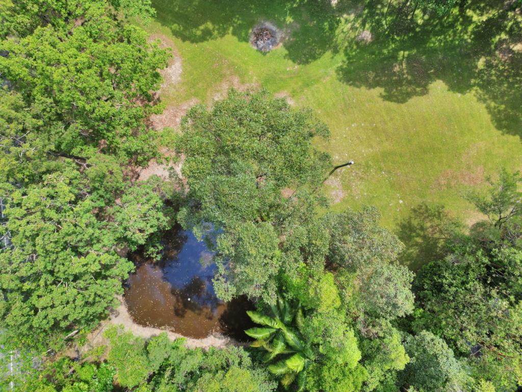 786 Tallebudgera Creek Rd, Tallebudgera Valley, QLD 4228