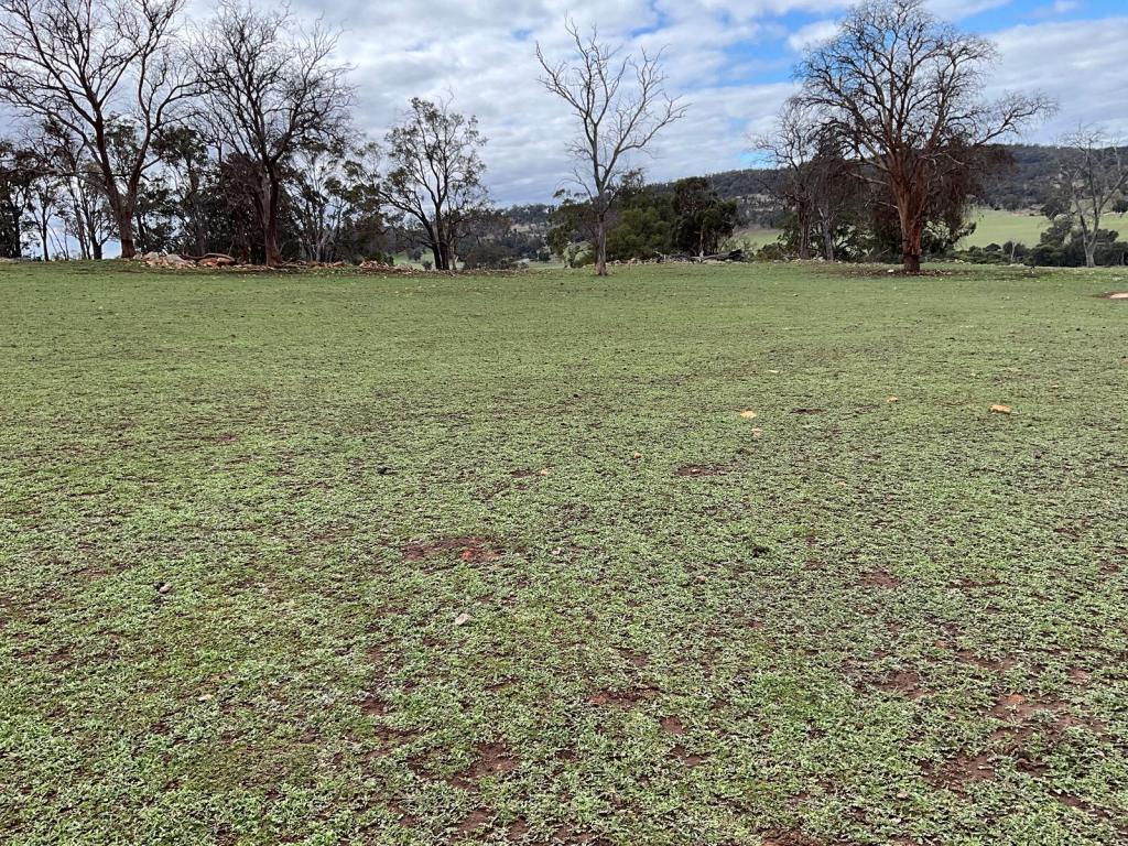 LOT 21 KALIMNA WAY, BANNISTER, WA 6390