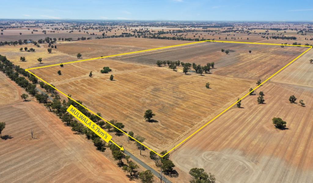 Lot 1/Dp52282 Bull Plain Rd, Mulwala, NSW 2647