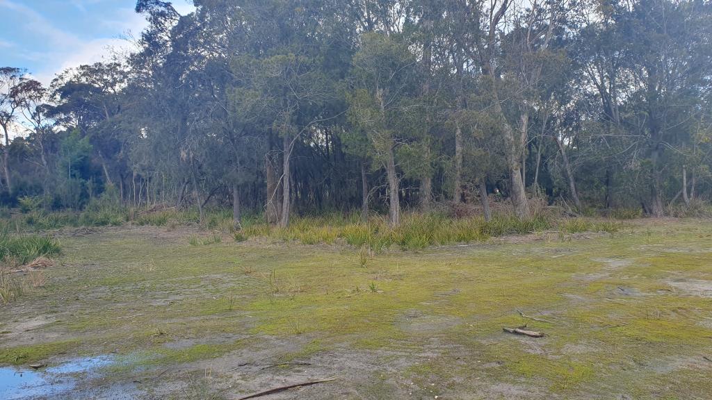 Lot 2 East Glen, Port Sorell, TAS 7307