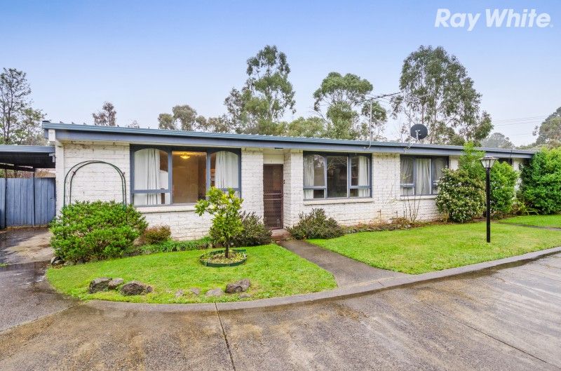 4/14 Tintern Ave, Bayswater North, VIC 3153