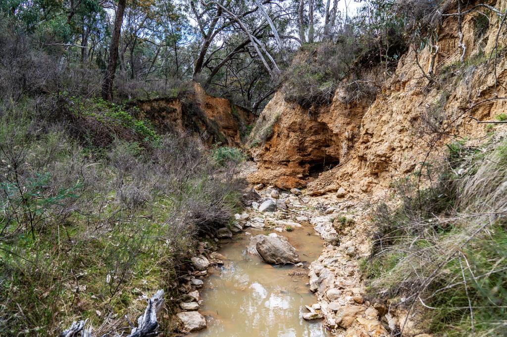 125 Dirt Hole Creek Rd, Tambaroora, NSW 2850