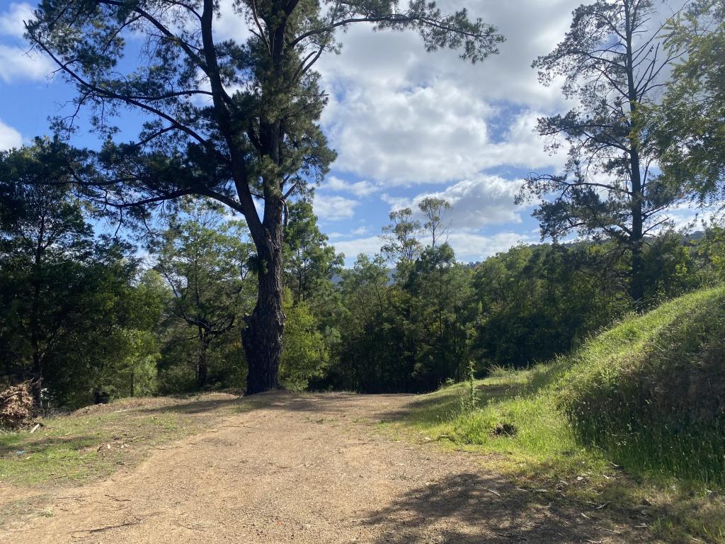 142 Taylor Bay Right Arm Rd, Taylor Bay, VIC 3713