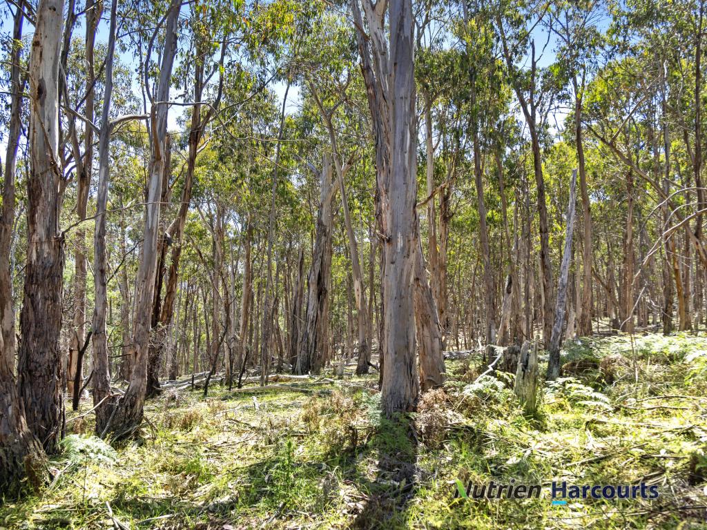 2830 Tehan Road, Kerrisdale /, Yea, VIC 3717