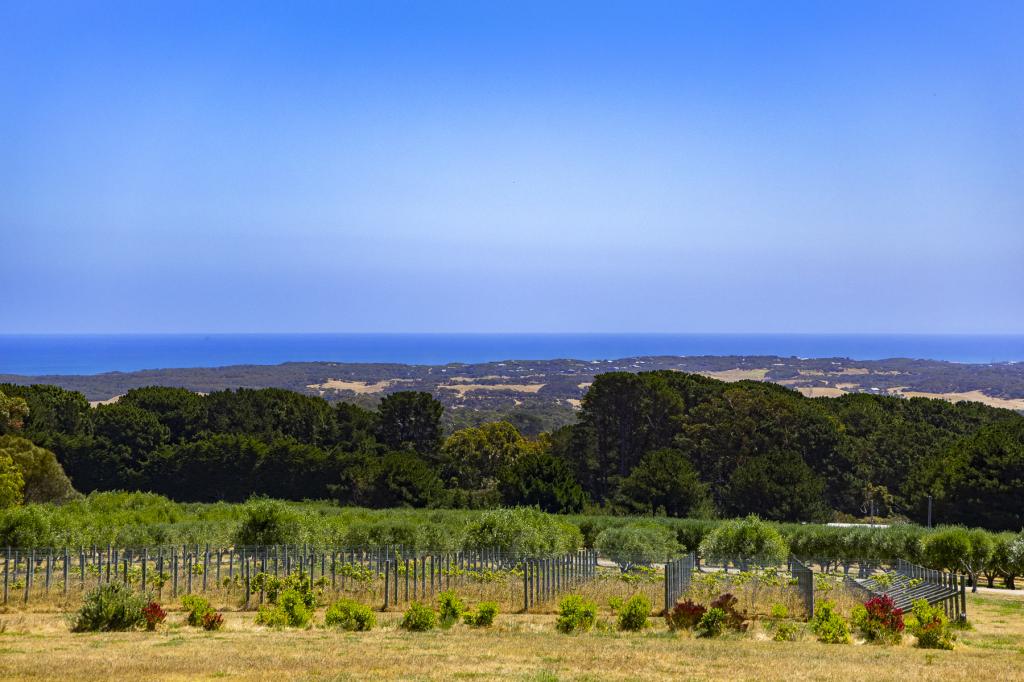 515 Grasslands Rd, Boneo, VIC 3939