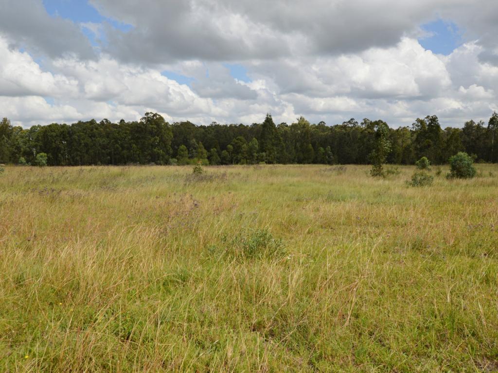 11 ROSEDALE CL, MCDOUGALLS HILL, NSW 2330