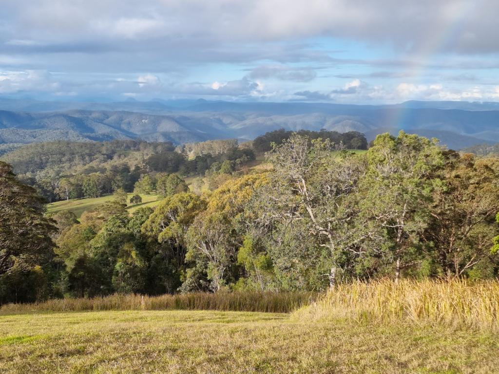 1226 RIVERTREE RD, LISTON, NSW 2372