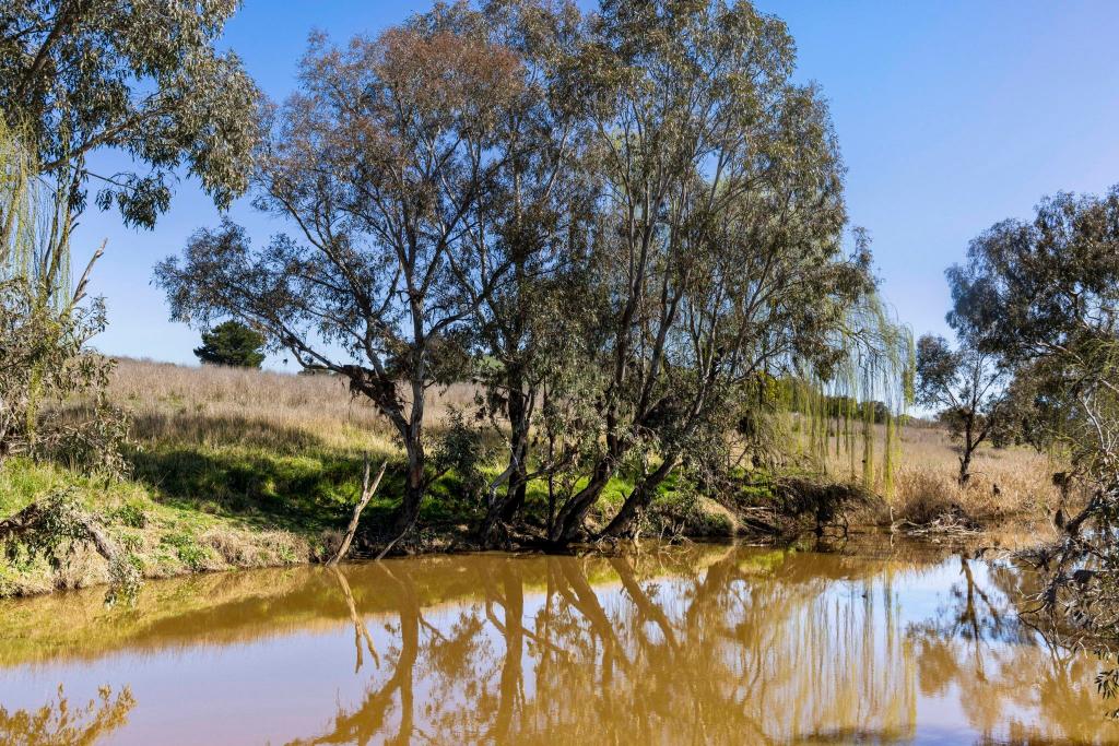 "Riverview" Brial Rd, Boorowa, NSW 2586