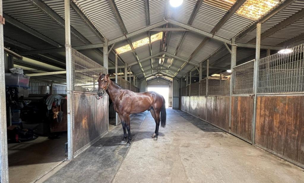 91 Dwyers Rd, Pheasants Nest, NSW 2574
