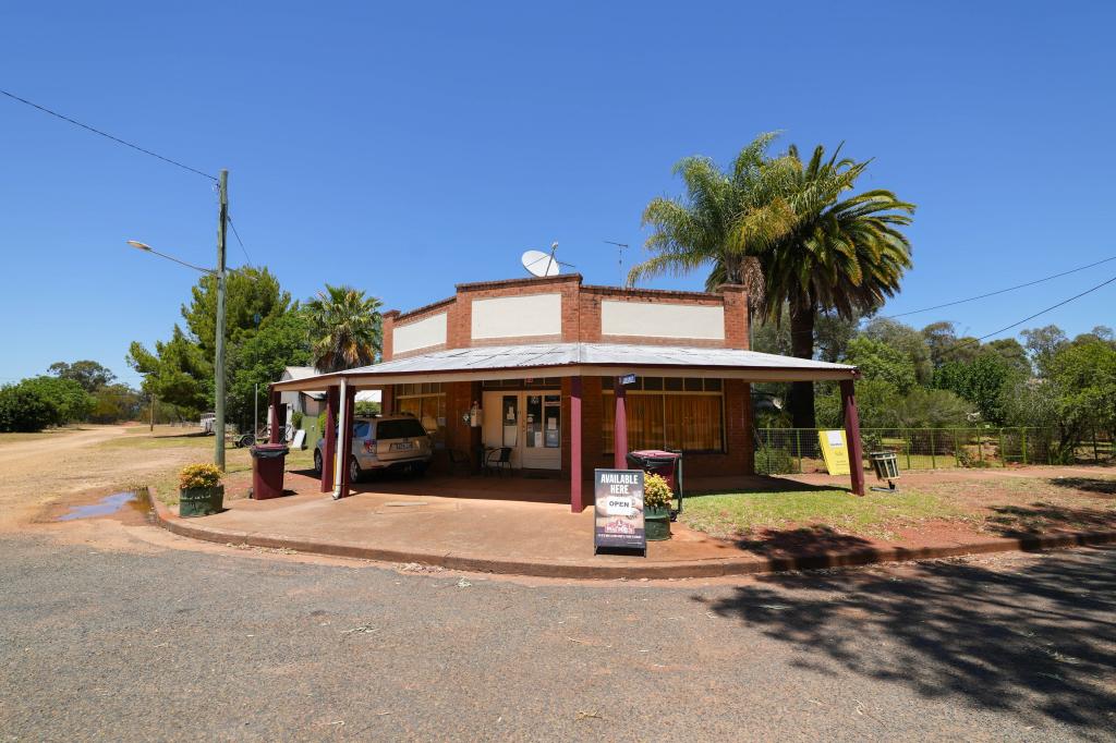 25 BENA ST, BURCHER, NSW 2671