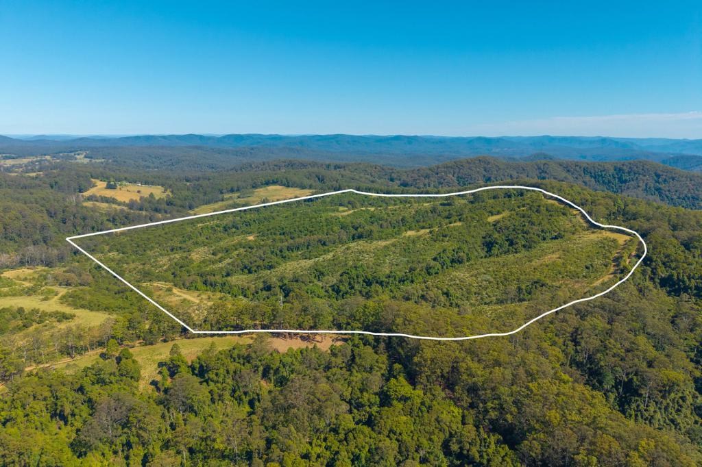 299 Tilbaroo Rd, Elands, NSW 2429