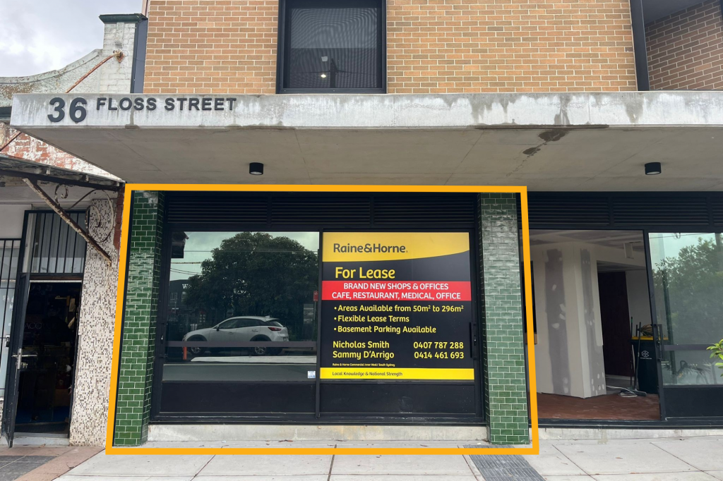 36 Floss St, Hurlstone Park, NSW 2193