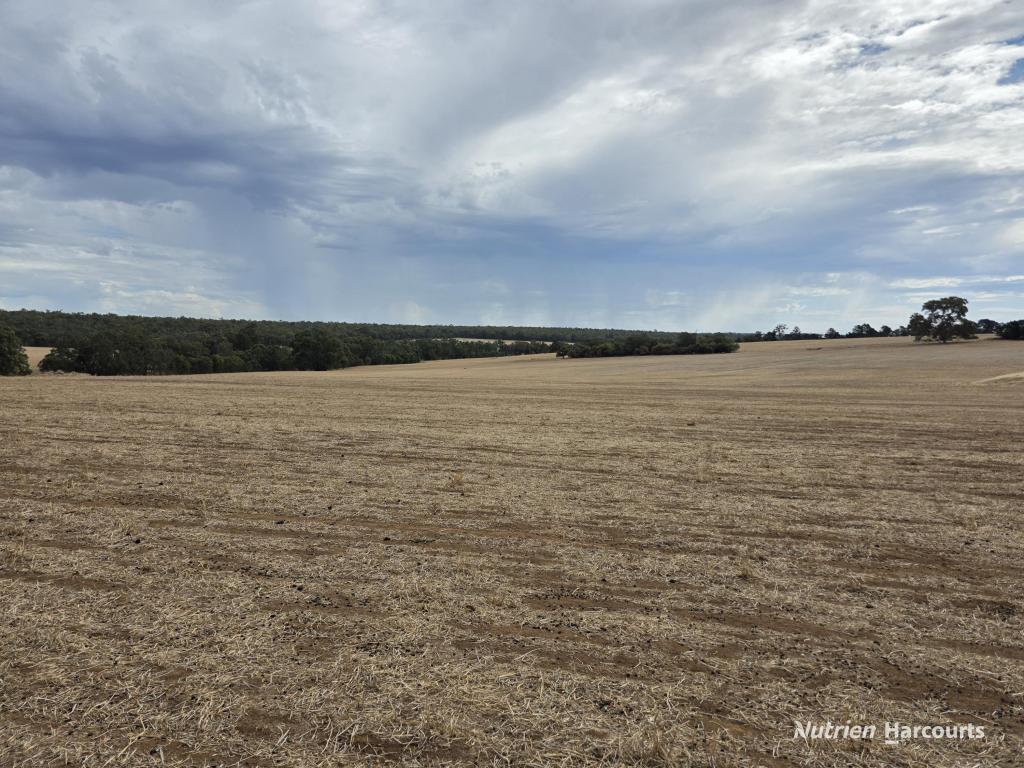 "Bloomvale", Bloomfields Rd, Scotts Brook, WA 6244