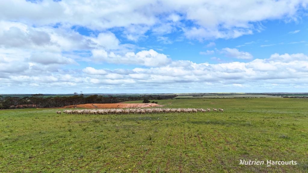 Lot 1 Calzoni Rd, Woolocutty, WA 6369
