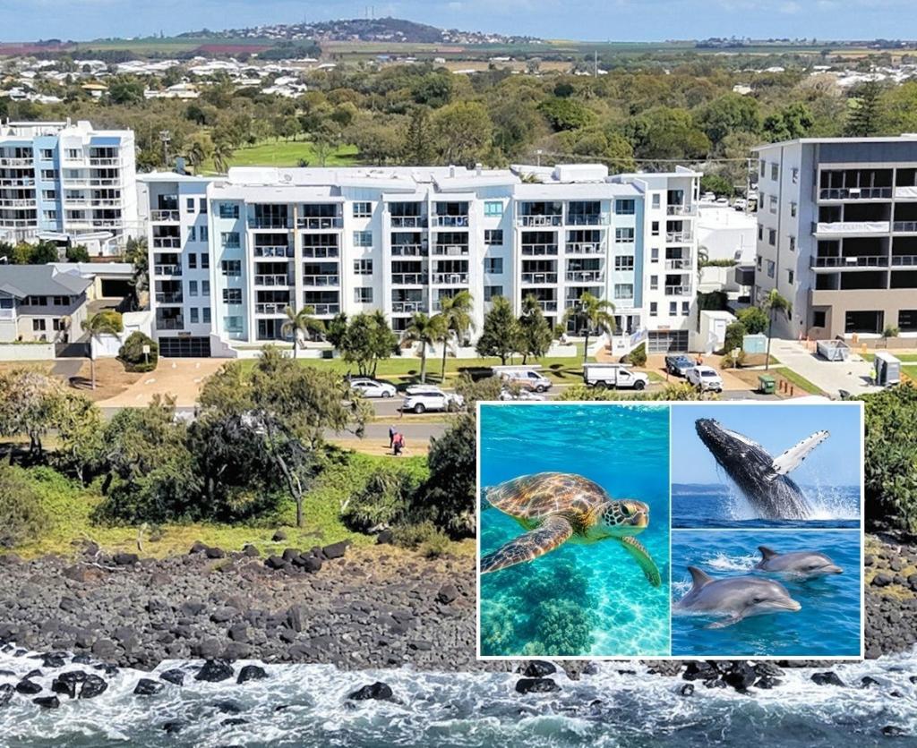 209/23 Esplanade, Bargara, QLD 4670