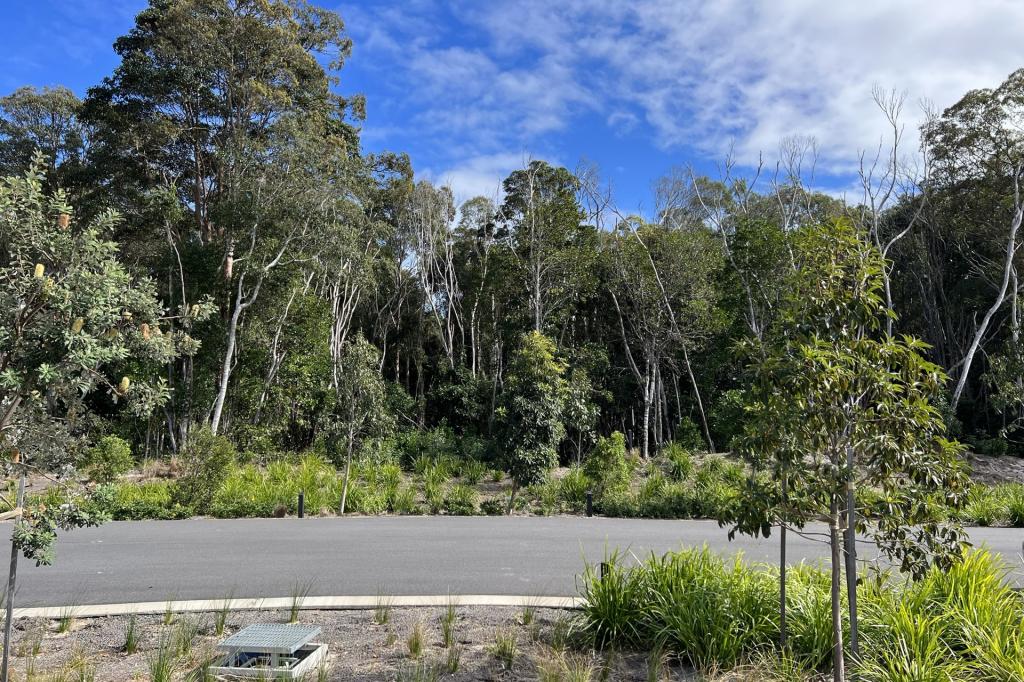 14 Yaegl Cres, Iluka, NSW 2466