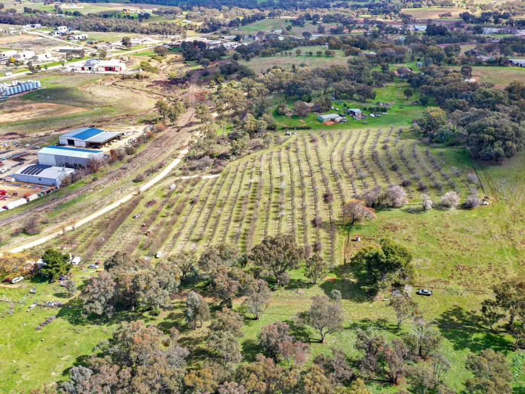 56 Rockdale Rd, Young, NSW 2594