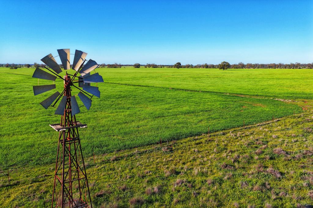 Daisy Springs 2537 The Bogan Way, Albert, NSW 2873
