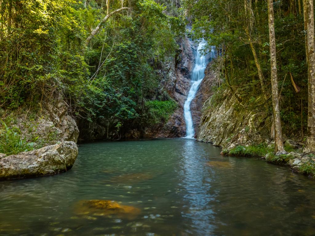 98-196 Guanaba Rd, Tamborine Mountain, QLD 4272